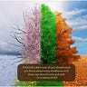 Daily Devotional For Women