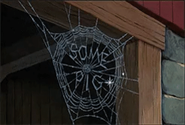 Top 30 Charlottes Web GIFs | Find the best GIF on Gfycat