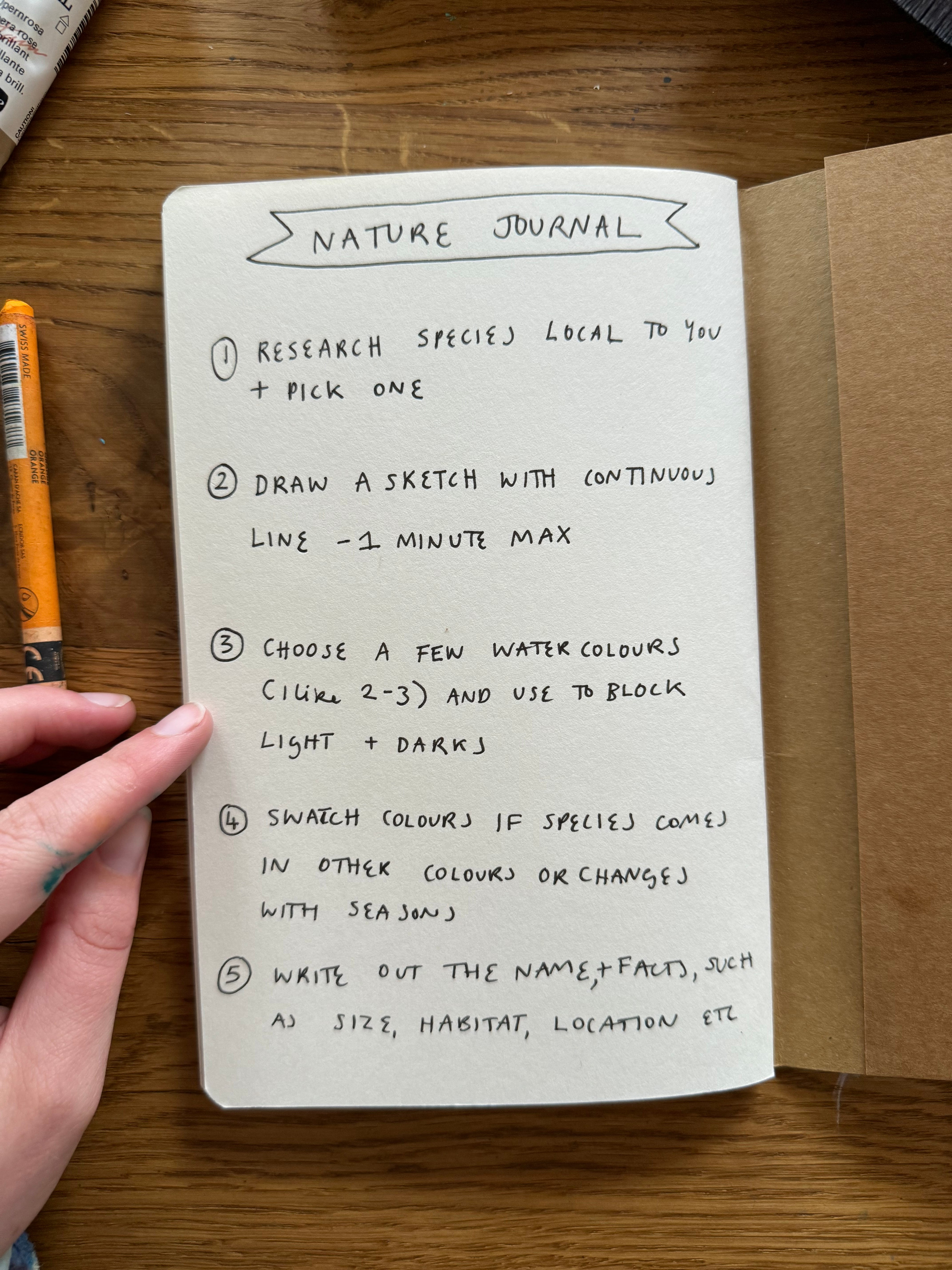 Summer Drawing Prompts - by Orla Stevens