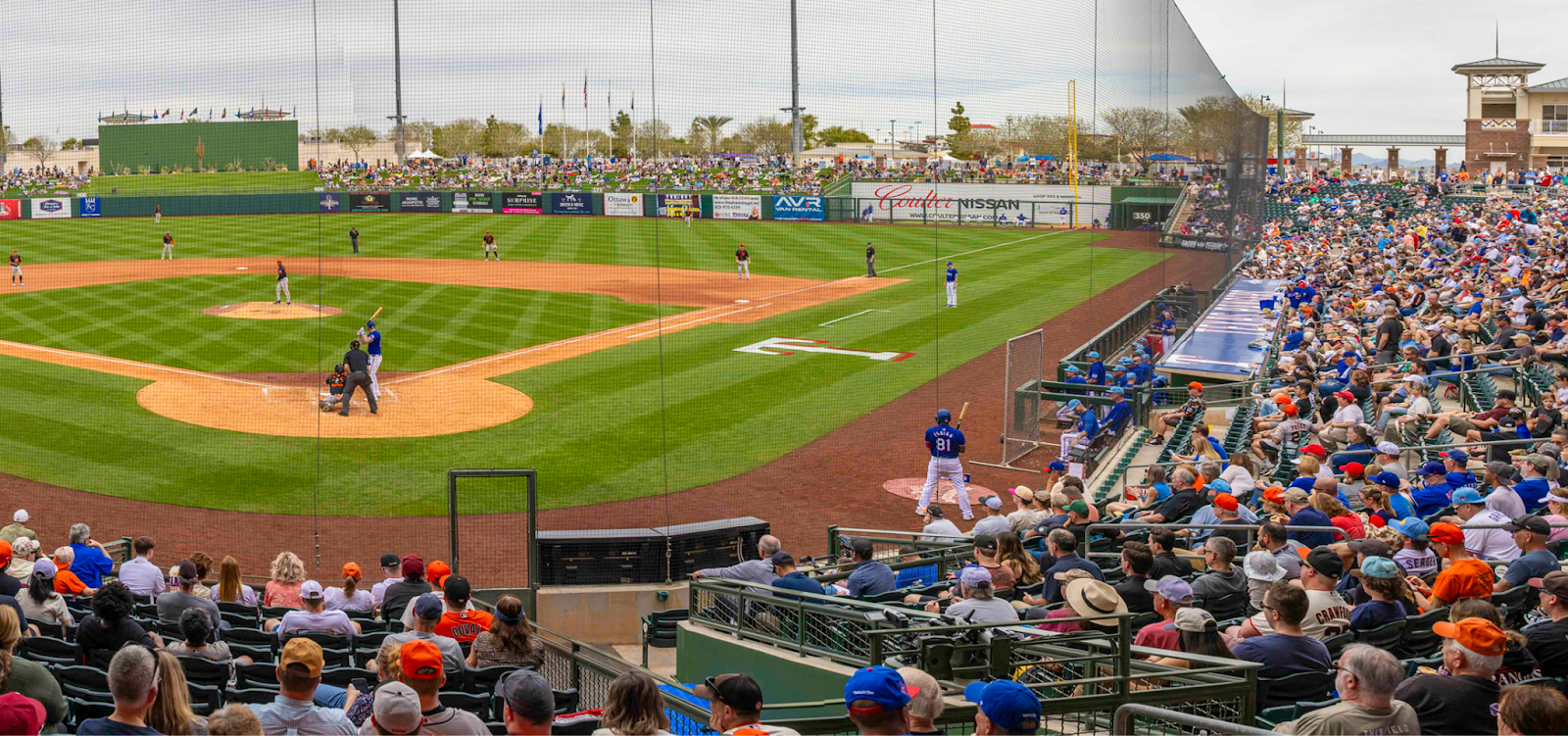 Everything You Need to Know About Spring Training