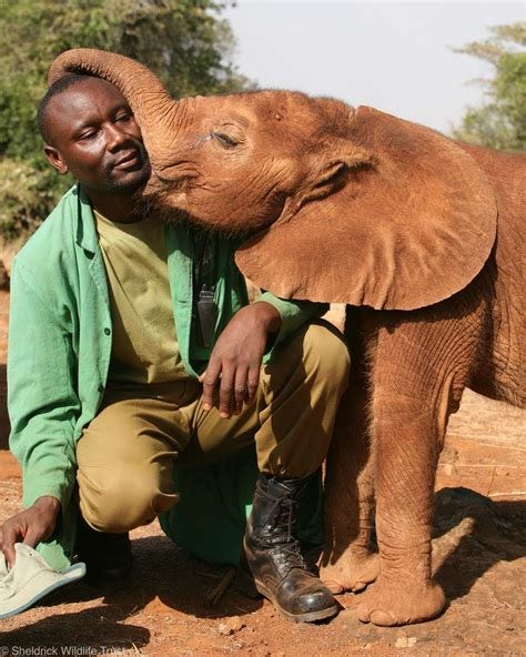 Sheldrick Wildlife Trust added... - Sheldrick Wildlife Trust