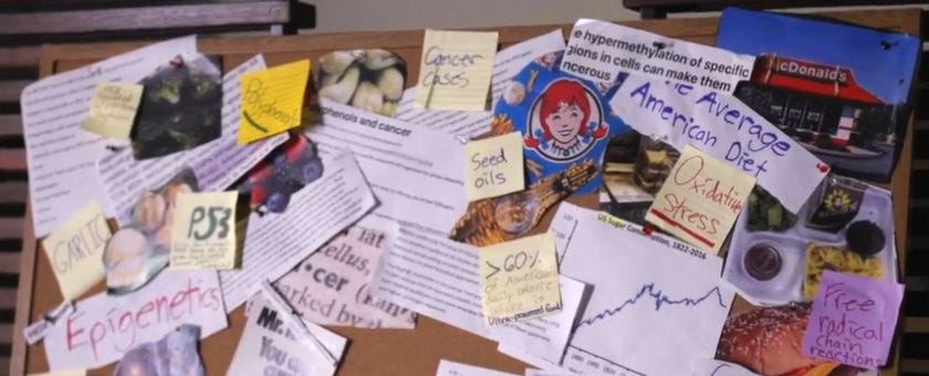 TheyLied: Cancer: A Food-Borne Illness