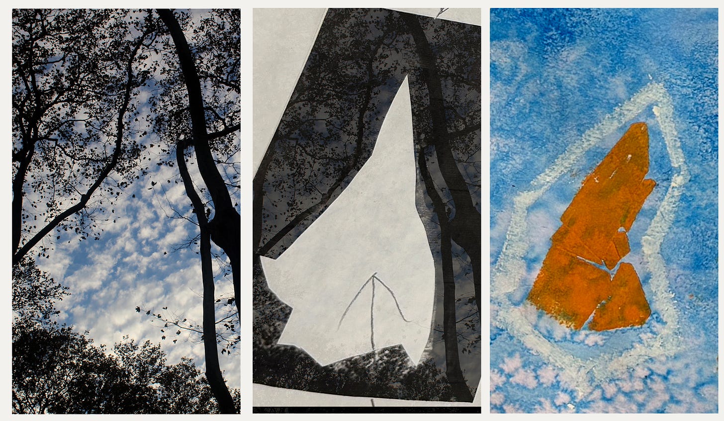 Three-panel image showing process: upward tree photograph, negative space drawing in black and white, finished print in orange and blue