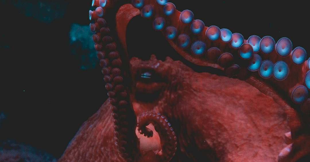 brown and blue light on brown rock brown and blue light on brown rock