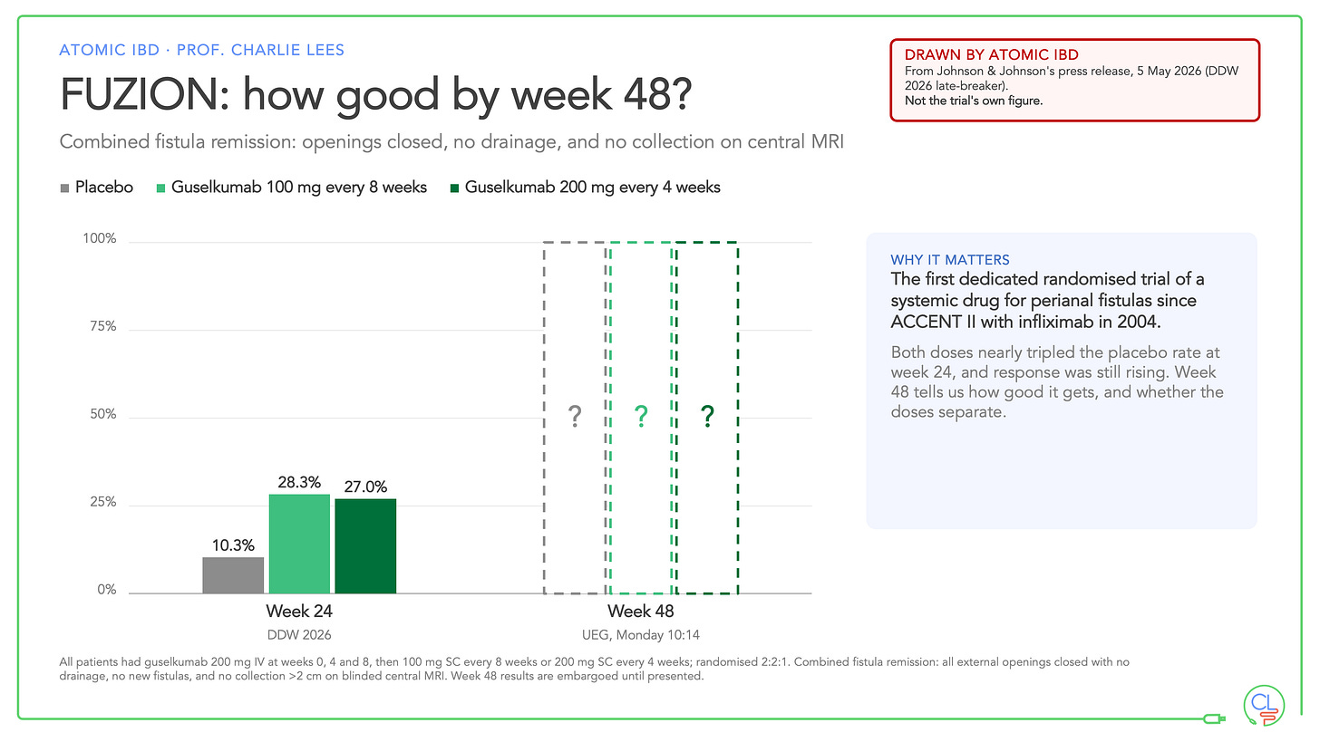 Bar chart. At week 24, combined fistula remission was 10.3% on placebo, 28.3% on guselkumab 100 mg every 8 weeks and 27.0% on 200 mg every 4 weeks. Week 48 is shown as empty dashed bars with question marks.