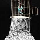 From the Mouth of Madness 1: The Medium is the Message