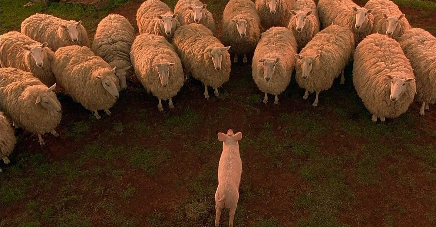 Watch Babe Full movie Online In HD | Find where to watch it online on  Justdial Mexico