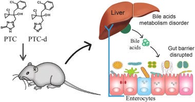 A diagram of a mouse and liver
AI-generated content may be incorrect. A diagram of a mouse and liver
AI-generated content may be incorrect.