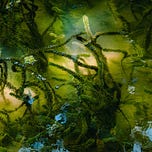 Hidden Value by David Sherry