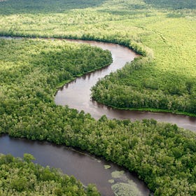 Cape Fear River Watch - Protecting Our Drinking Water Supply