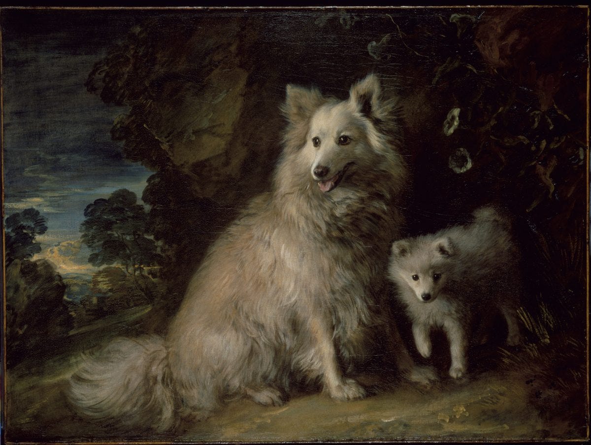 Thomas Gainsborough, Pomeranian Bitch and Puppy, about 1777 Thomas Gainsborough, Pomeranian Bitch and Puppy, about 1777