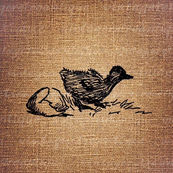 The Writing Catalyst: Prompts, Recipes, and Inspiration  