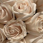 The Lessons You Learn When It's Too Late