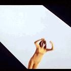 The Golden Toilets These Designers Swear Will Make You 'King' On The 'Throne'! Tabs, Wed., May 15, 2024