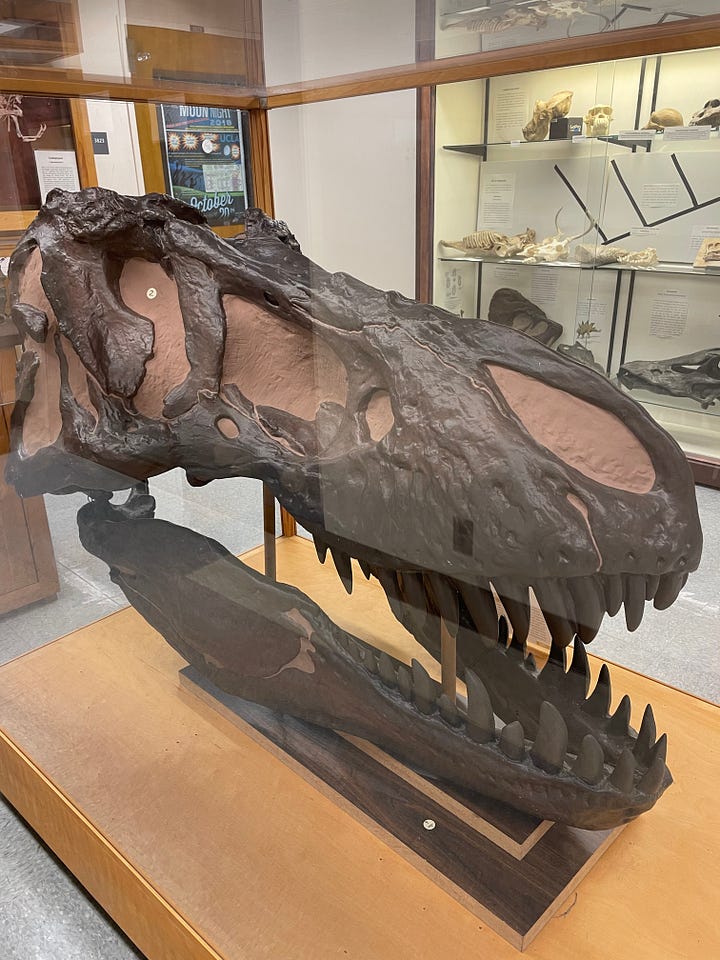 Los Angeles, California / Laura Motta, 2021