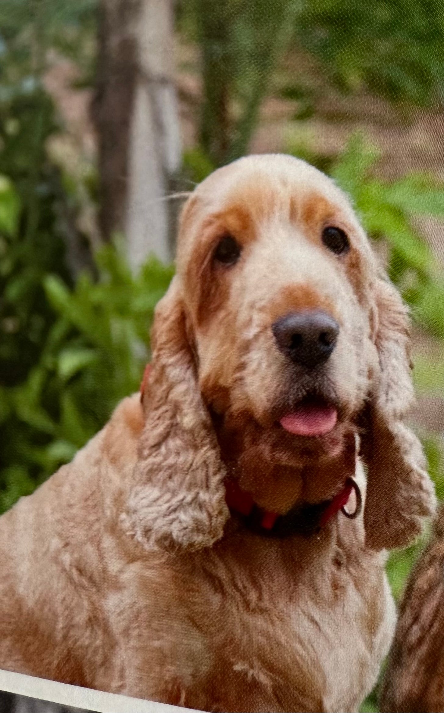 if your professional headshot looked like this, you'd join a gym