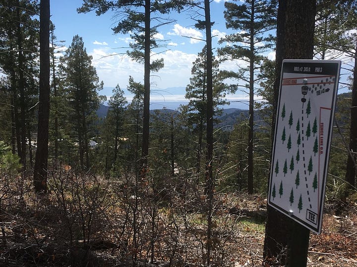 disc golf course in four seasons in cloudcroft nm