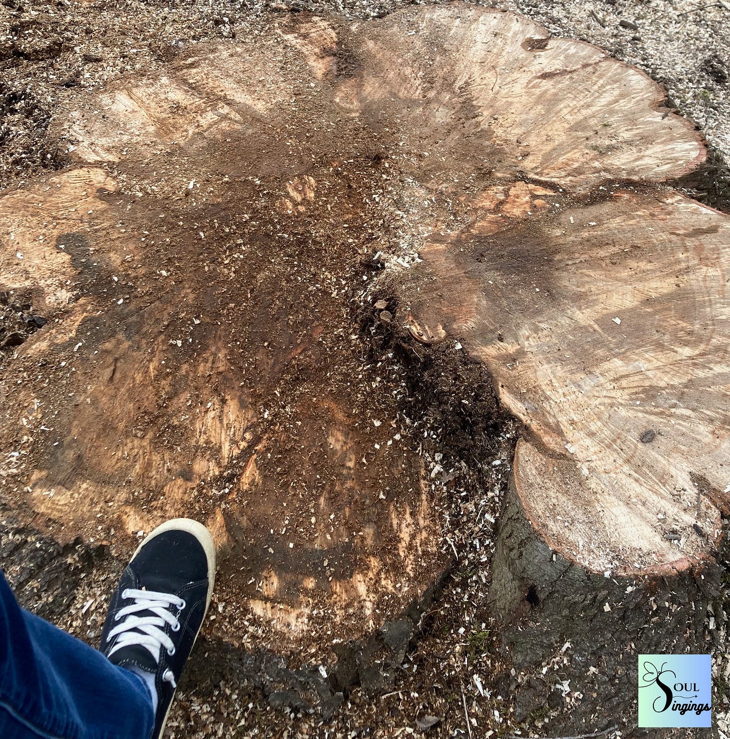 Clean stump left