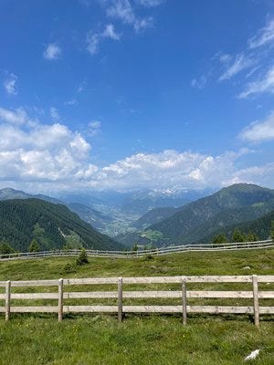 IMG_8959.jpg