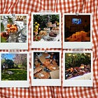 summer hosting inspiration—menus, themes & decor ideas