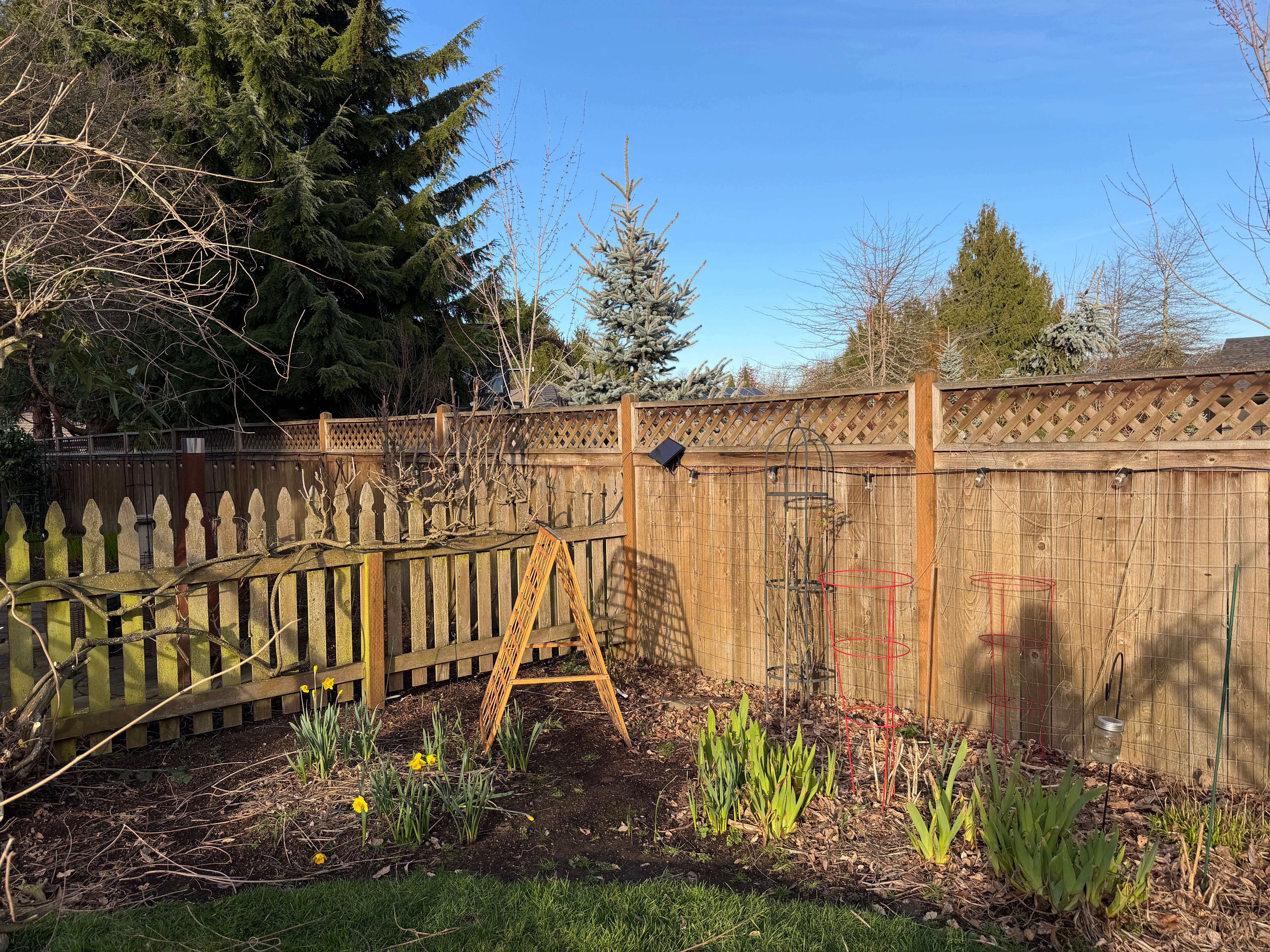 Garden Notes 2026 • 01 - by Ali Edwards - Echoes + Evidence