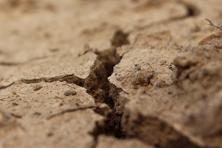 macro photography of cracked soil macro photography of cracked soil