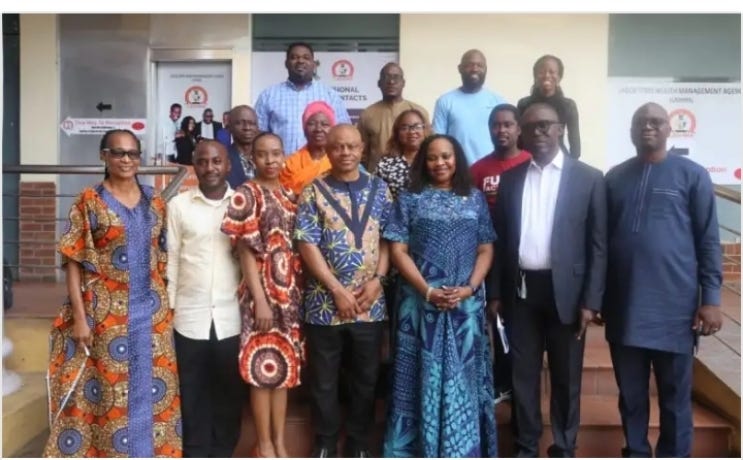 A group photo of the committee. Credit: Lagos state government website.