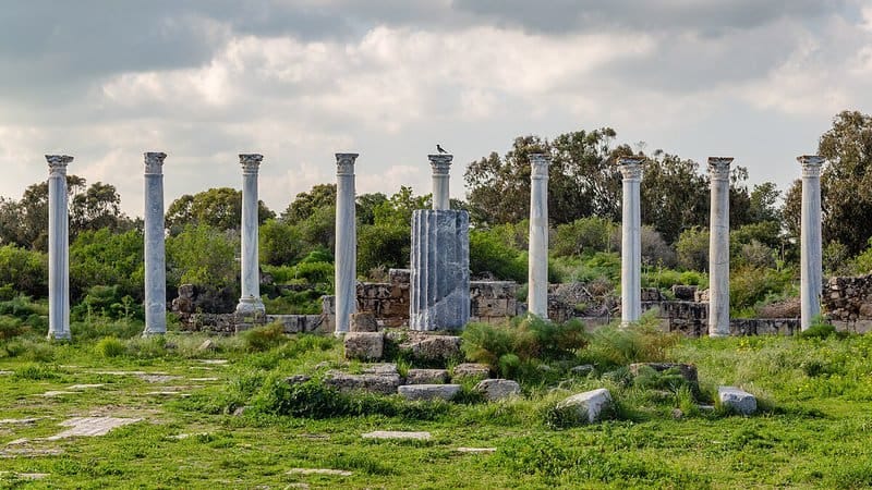 The assassination of Julius Caesar sent shockwaves through Rome, plunging the city into panic and leaving a dangerous power vacuum that threatened to unleash anarchy.