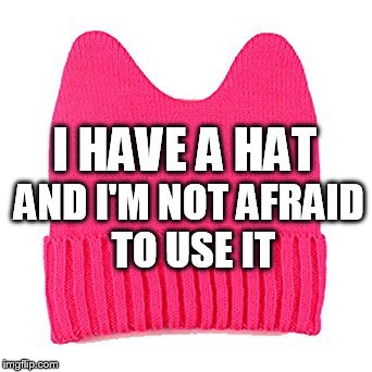 pussyhat Memes & GIFs - Imgflip