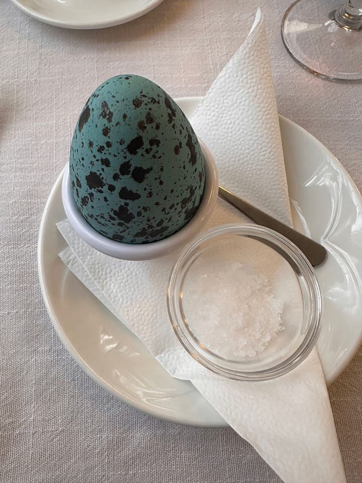 A turquoise seabird egg