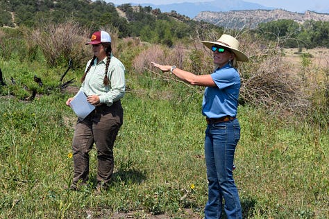 "A gallery from the Western Landowners Alliance field day at Redwing Ranch: attendees in sun hats gathered on the grassland listening to a presentation, with rugged foothills in the background, and two women in conversation, one gesturing out toward the land.