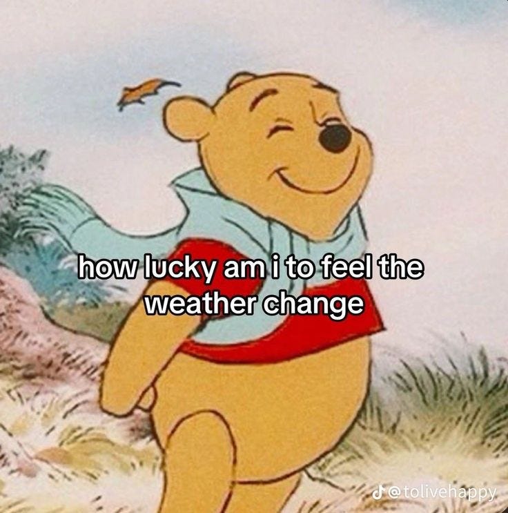 This may contain: winnie the pooh saying how lucky an it to feel the weather change
