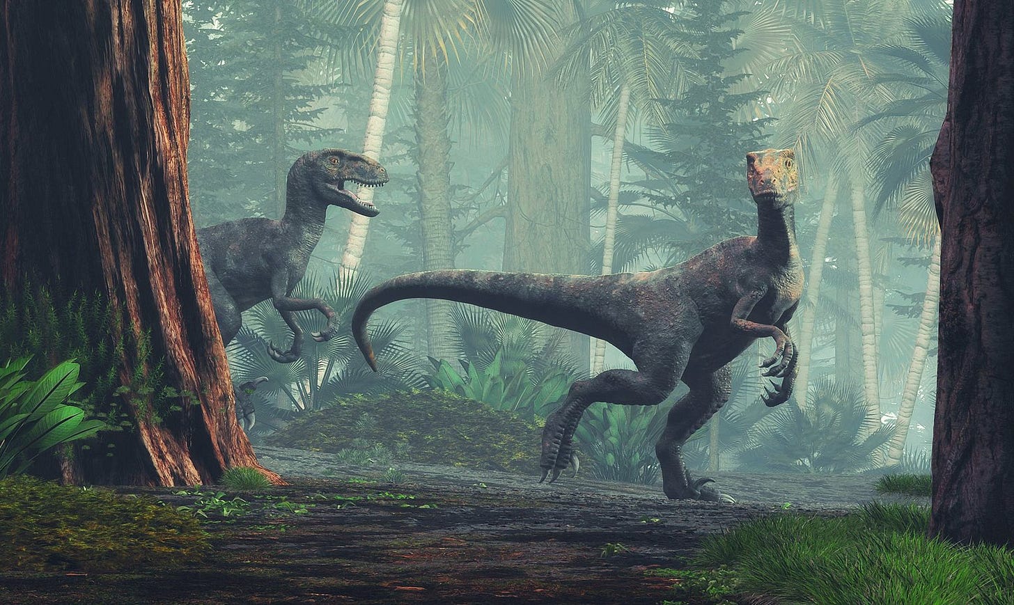 A pair of raptors in the woods