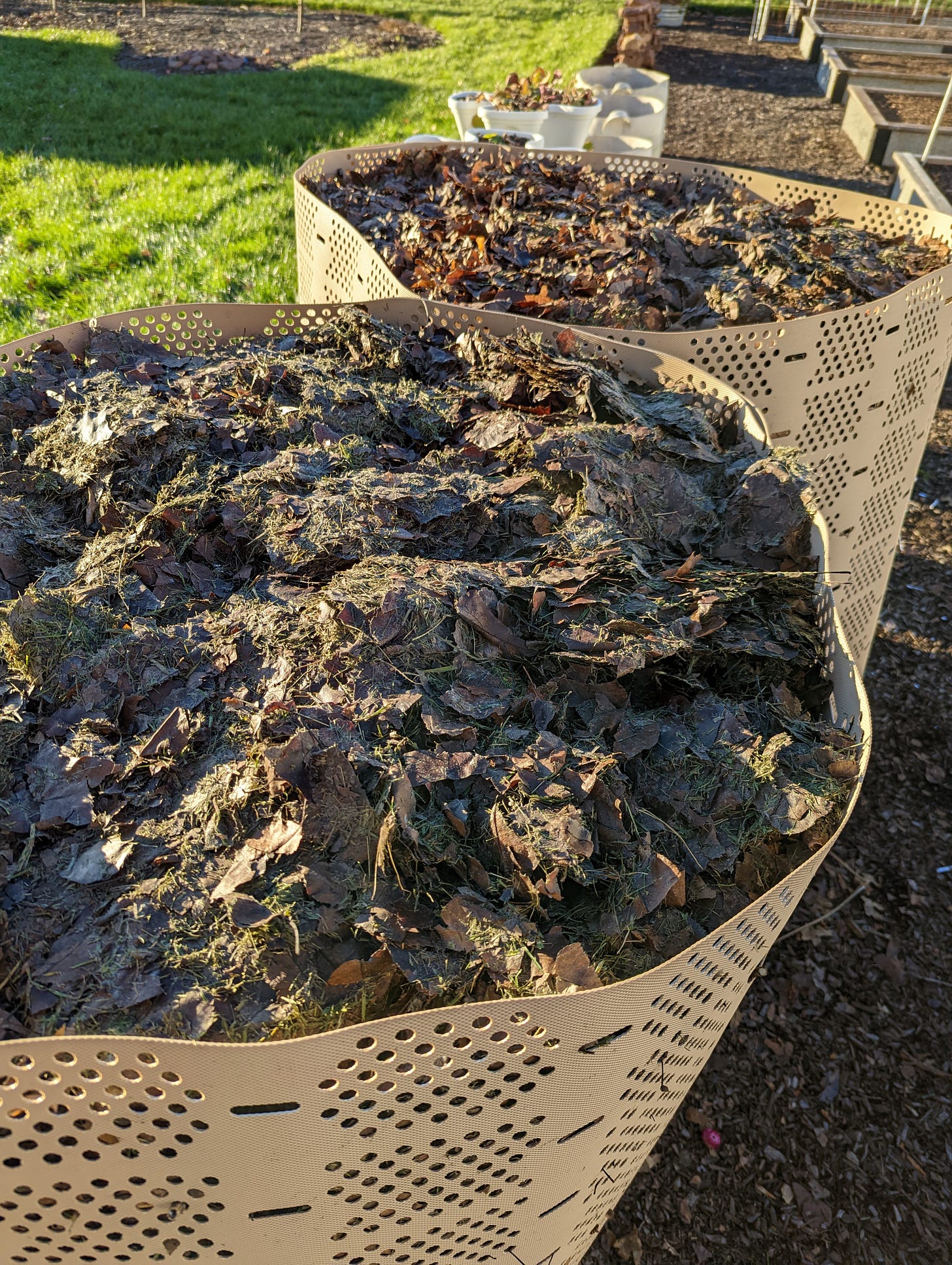 Geobins filled with leaves collected from the neighborhood are situated in a garden.