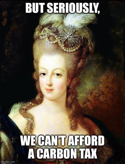 A portrait of Marie Antoinette in an elaborate hairstyle, captioned "But seriously, we can't afford a carbon tax."