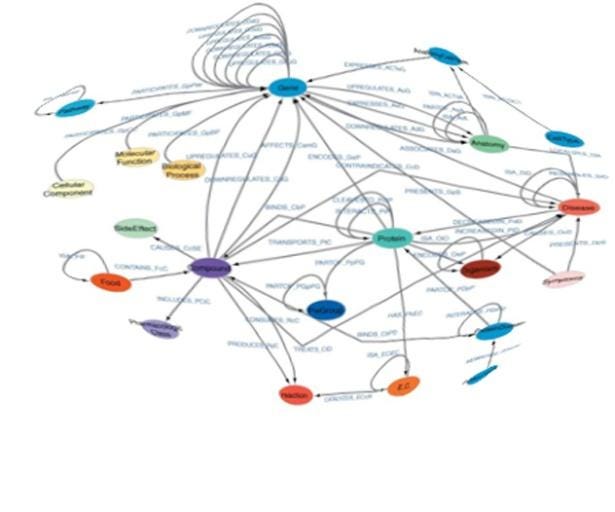 A diagram of a network

AI-generated content may be incorrect.