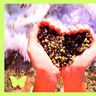 Taking the fear out of DETOX