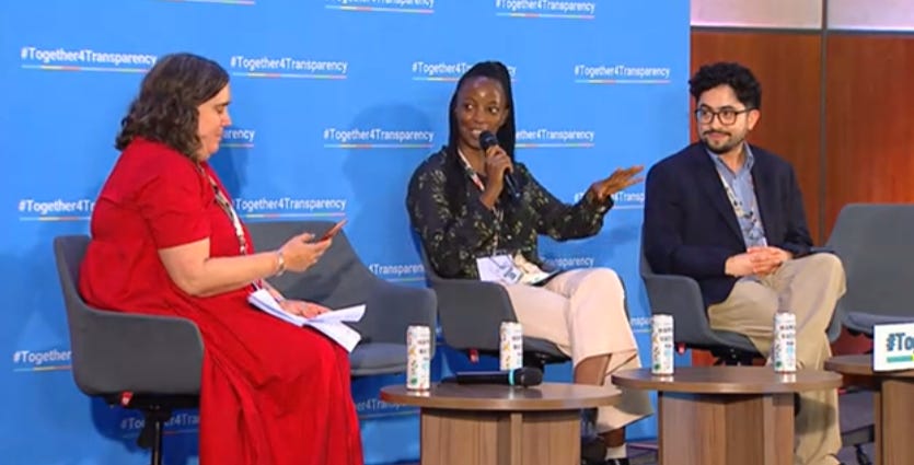 Screenshot from the panel: Making Climate Data Accessible: Understanding the UNFCCC Transparency Framework and the BTR Synthesis Report. 