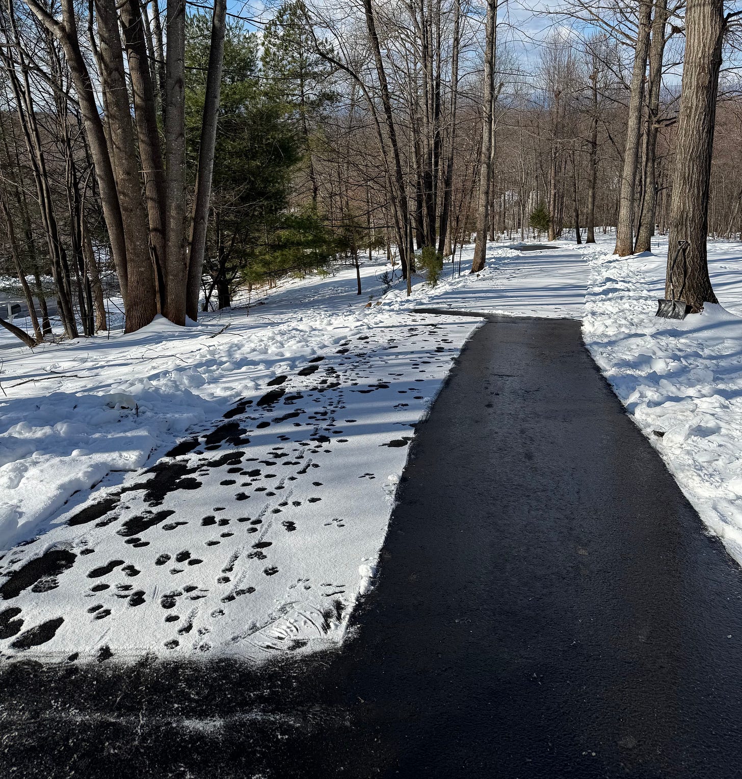 Long driveway with one half covered in snow and the other completely melted by the sun after initial manual removal.