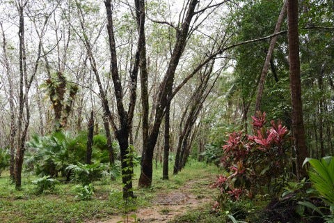 Ko Chang Noi, Oh so pretty. Photo: David Luekens Ko Chang Noi, Oh so pretty. Photo: David Luekens