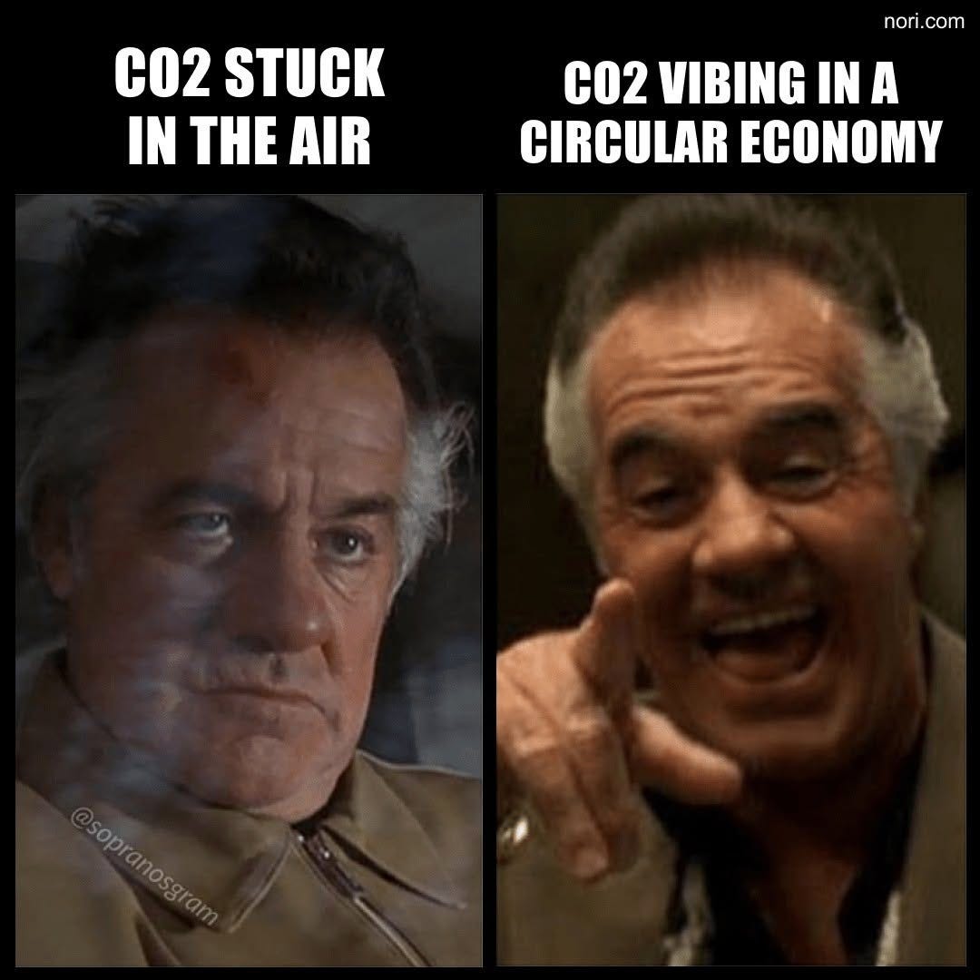 Two Sopranos stills of Paulie Walnuts. Left, grim: "CO2 stuck in the air". Right, laughing and pointing: "CO2 vibing in a circular economy".