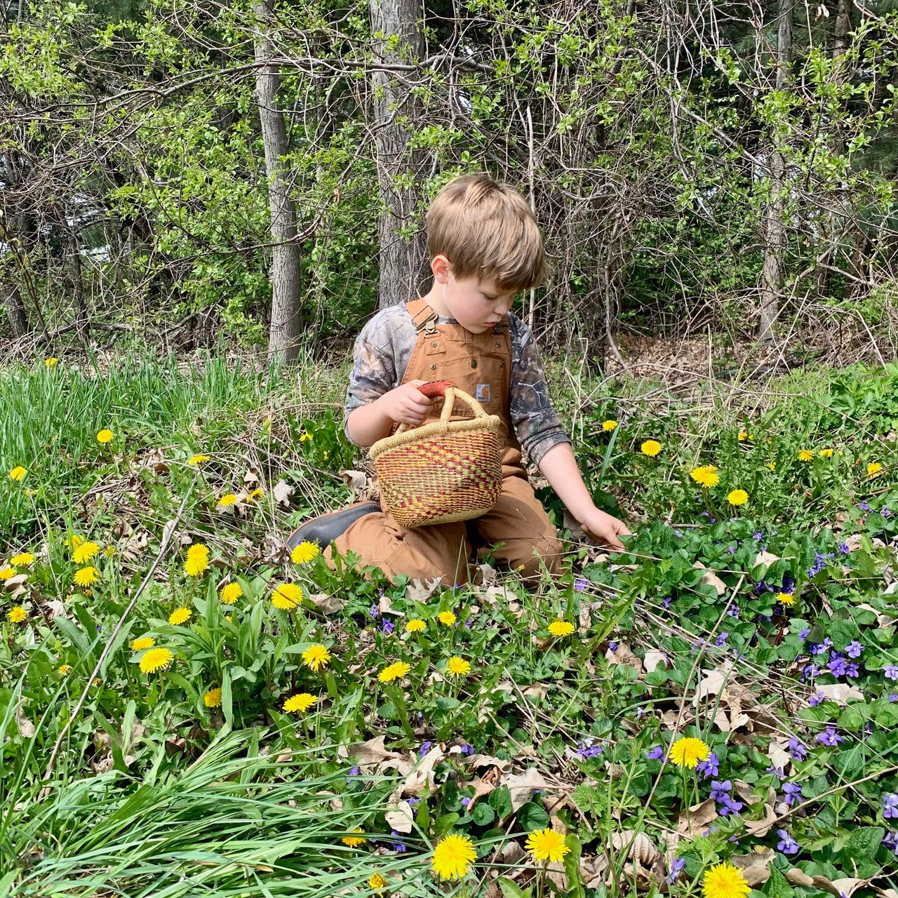 Withyweather Farm & School 