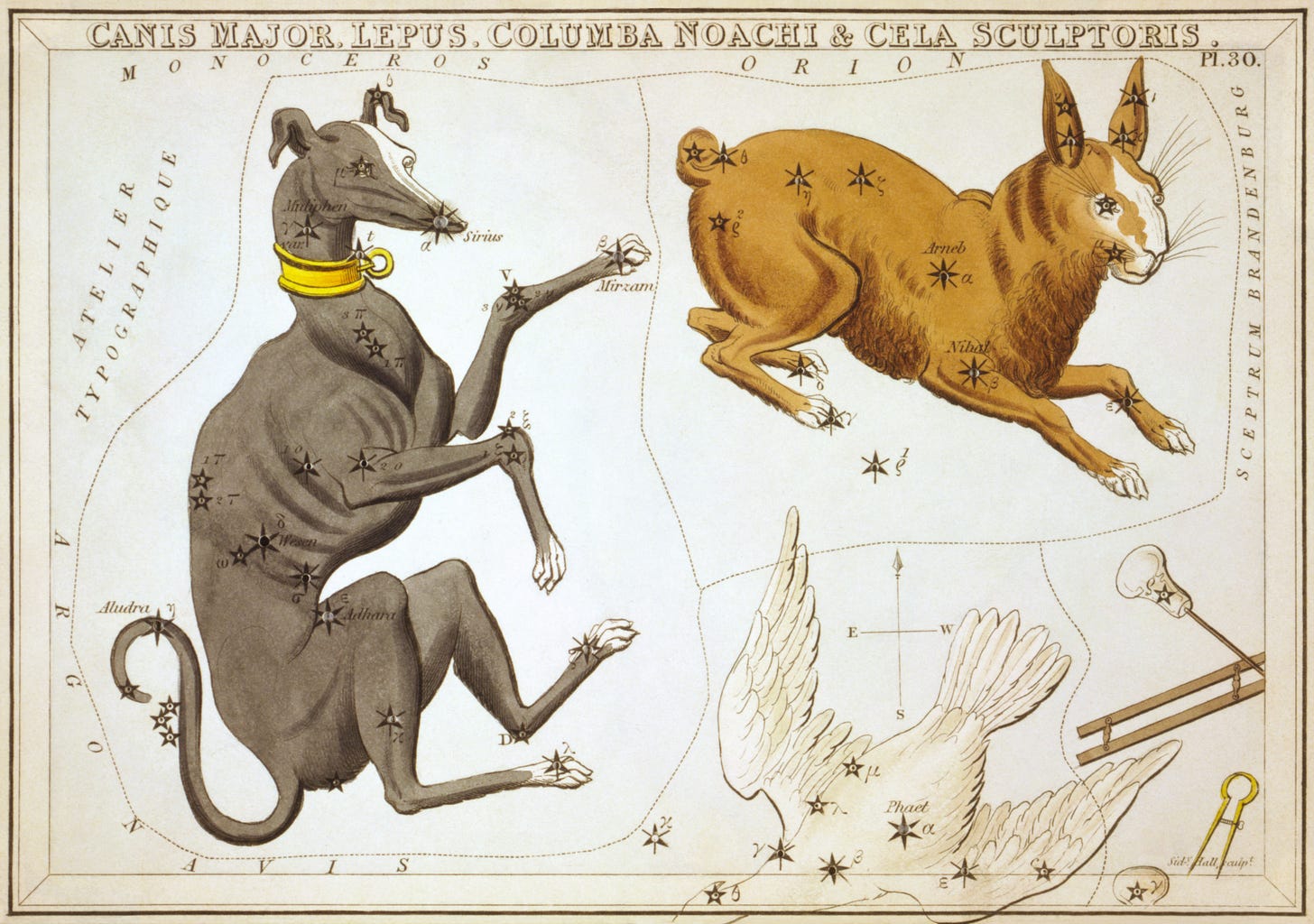Sirius (mythology) - Wikipedia Sirius (mythology) - Wikipedia
