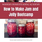 Modern Homesteading Academy Mini Course: Jam and Jelly Bootcamp