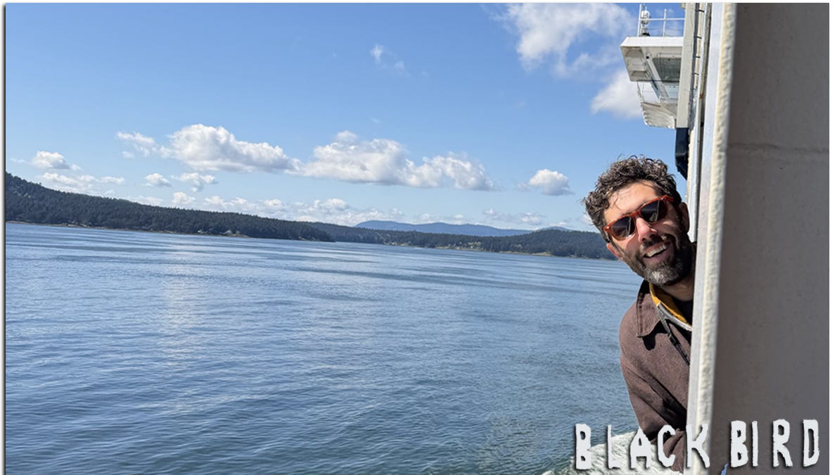 Two-way swaggerjacking