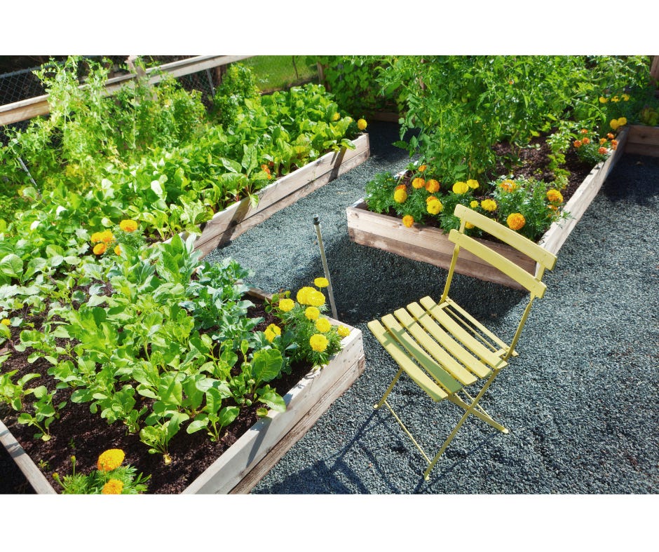 a yellow chair near raised garden beds
