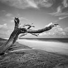 Large format pinhole photography