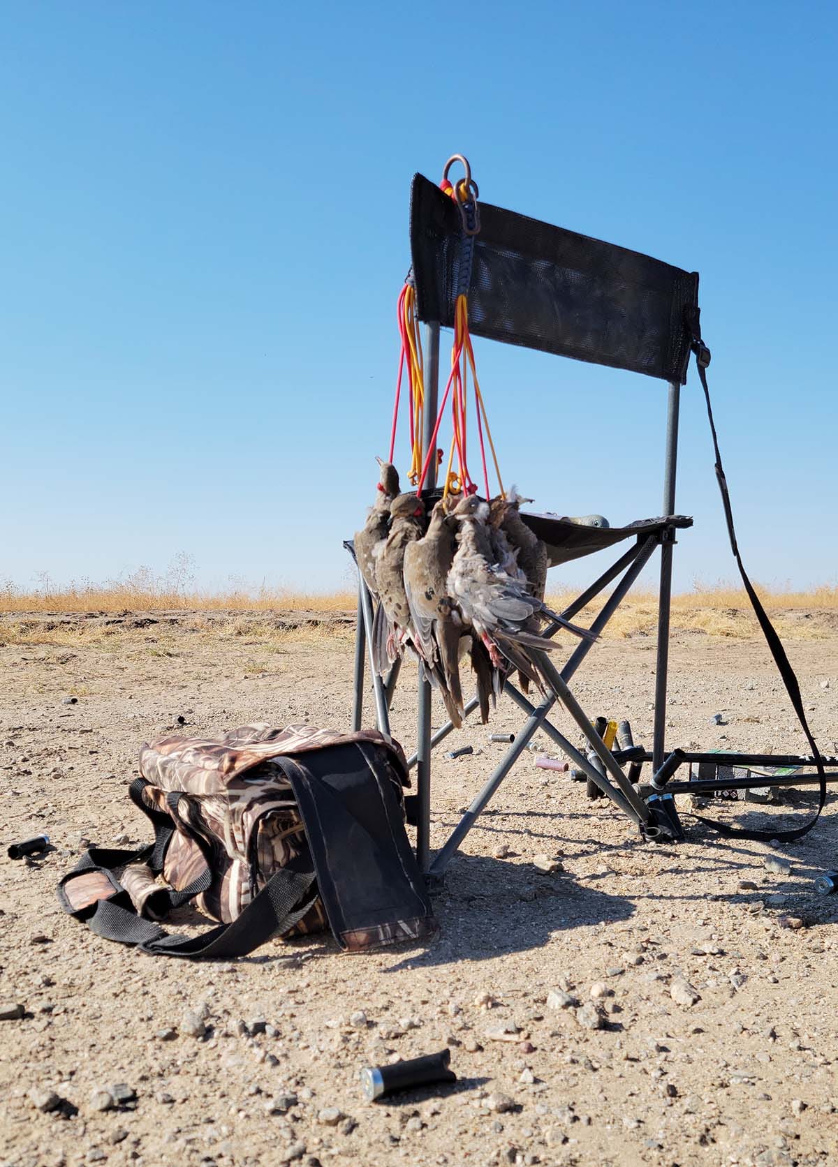 Doves hanging on a lanyard on a camp chair. 