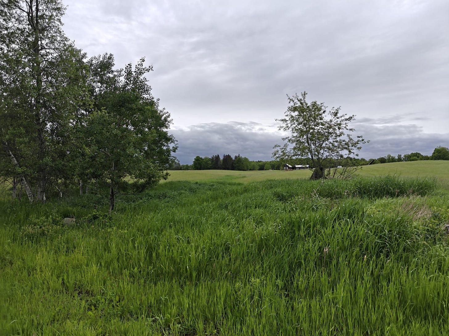A Trek Along the Cocheco Railroad