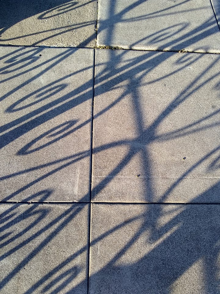 Image top left: curly fence shadows. Top right: a friend walking on a train by the sea, lit by sunlight. Bottom left: Shreds of aluminum fencing hanging from a horizontal pole, the ocean behind it. Bottom right: dirt path through an italian-style garden leading to an open door in a stone wall.